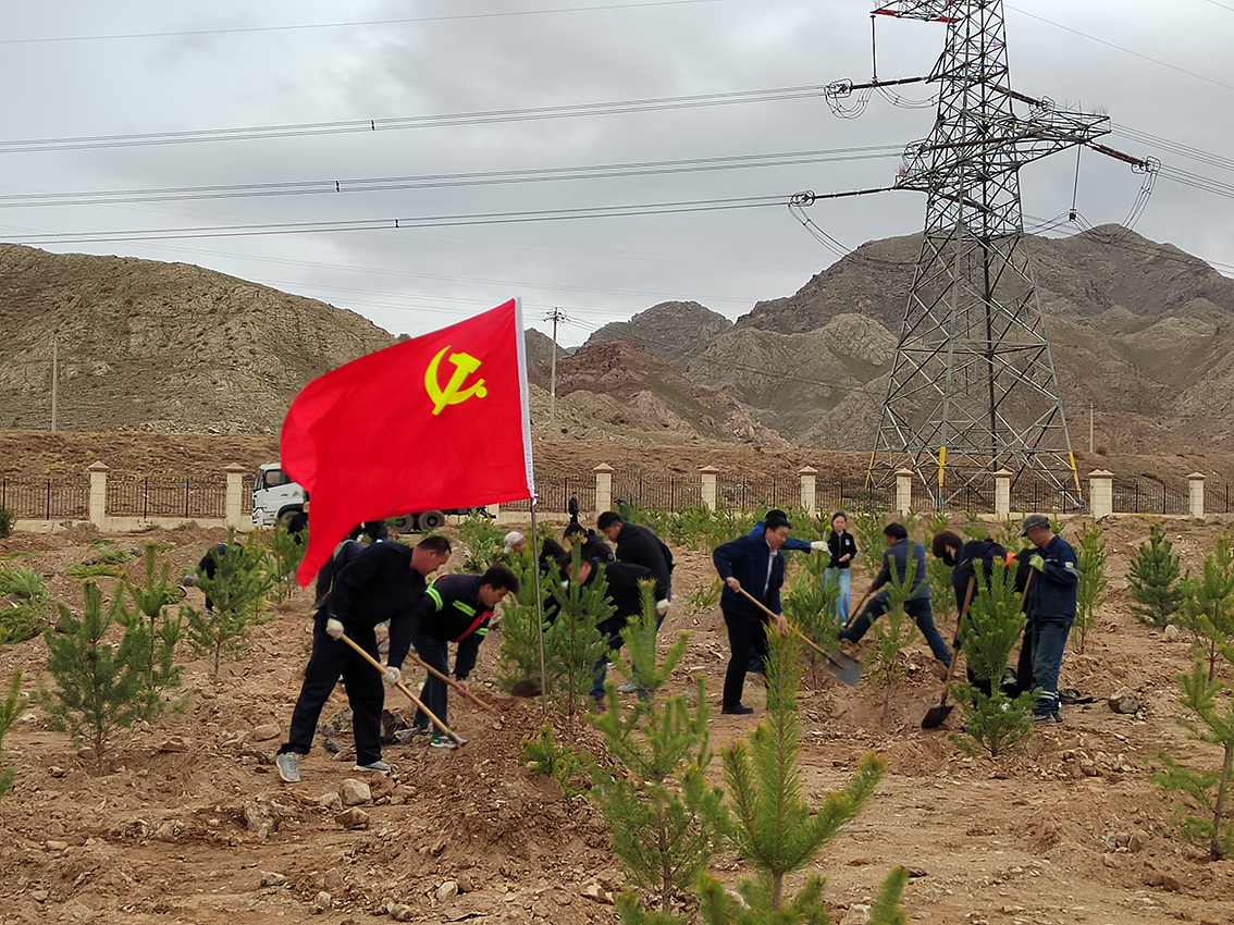 83e04537-1c27-11f0-aa65-8cbd52c5c617.jpg 83e04537-1c27-11f0-aa65-8cbd52c5c617.jpg